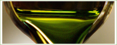 algae-biofuel