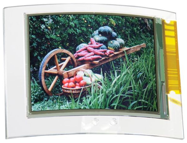Flexible LCD Display