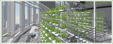 verticalfarms