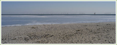 cape-wind